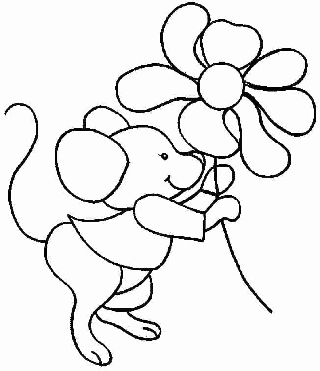 Maus-Bild