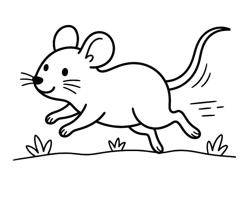 Maus drucken
