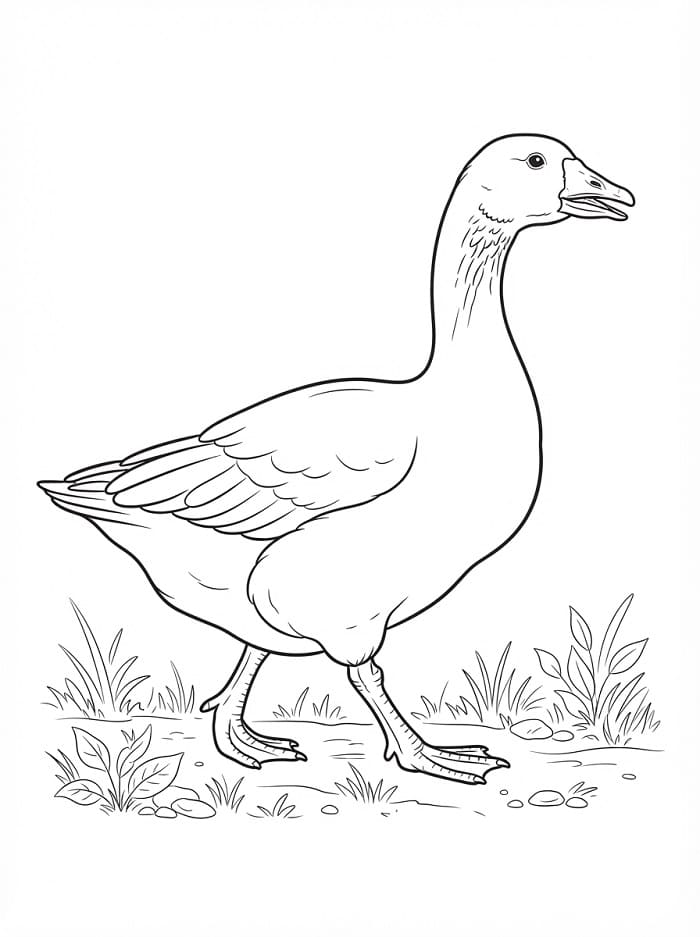 Normale Gans