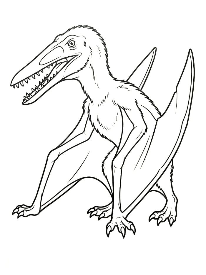 Pterodaktylus drucken