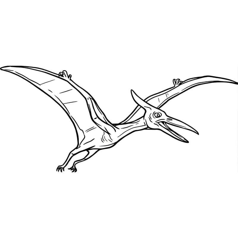 Pterodaktylus für Kinder