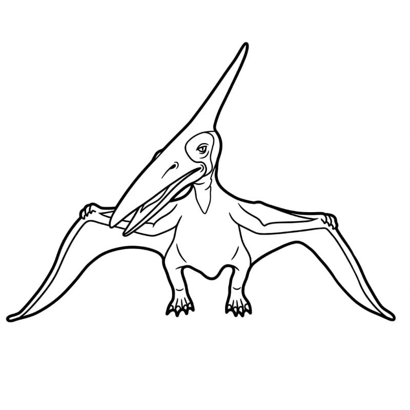 Pterodaktylus zum Ausdrucken