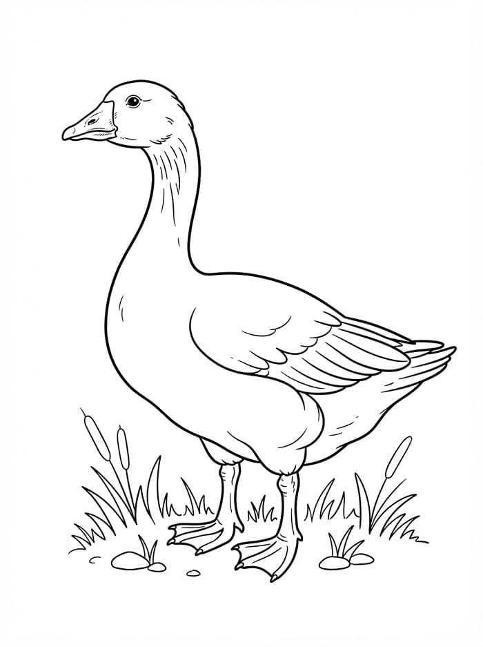 Gänse ausmalbilder