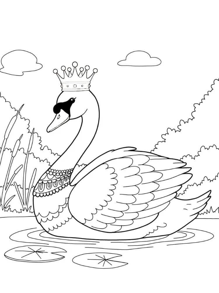 Schwan-Bild