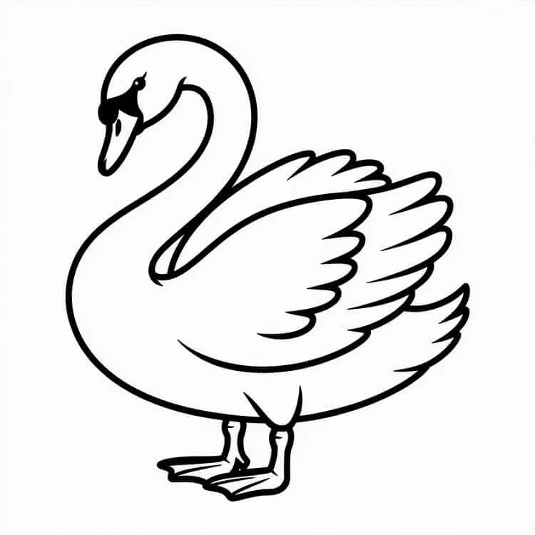 Schwan für 6-jährige Kinder