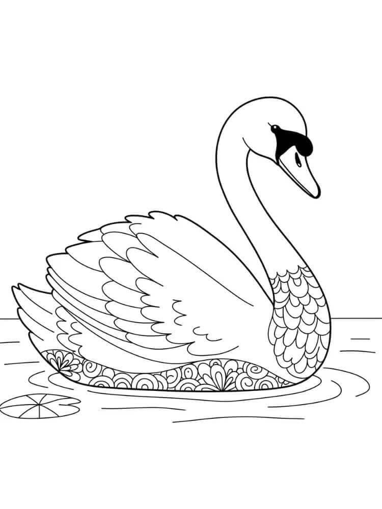 Schwan für Kinder