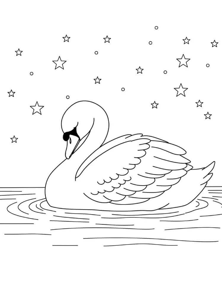 Schwan zum Ausdrucken