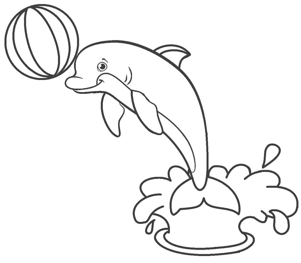 Spielender Delfin