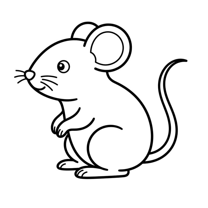 Süße Maus