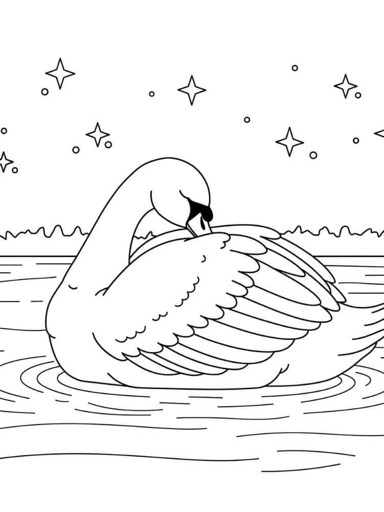 Wunderschöner Schwan
