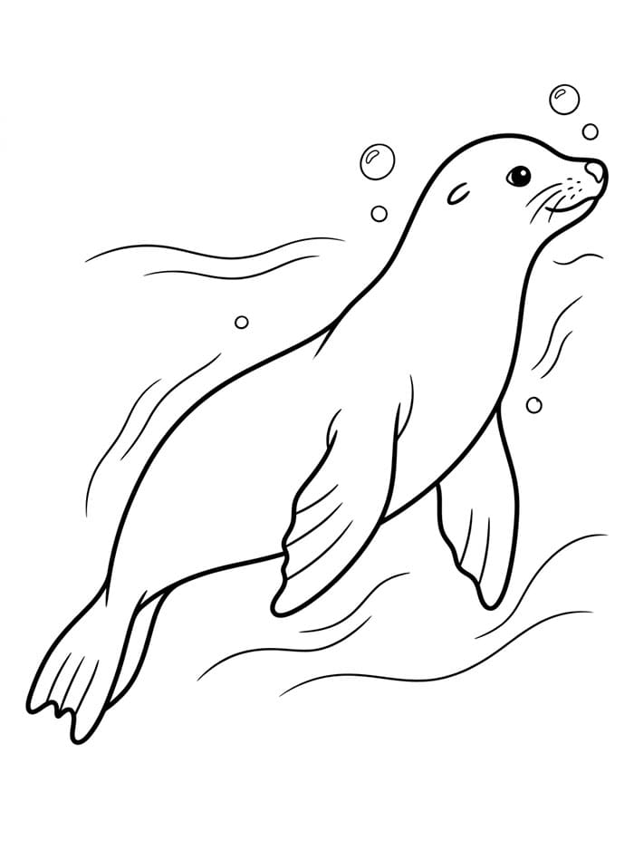 Ein Seelöwe schwimmt