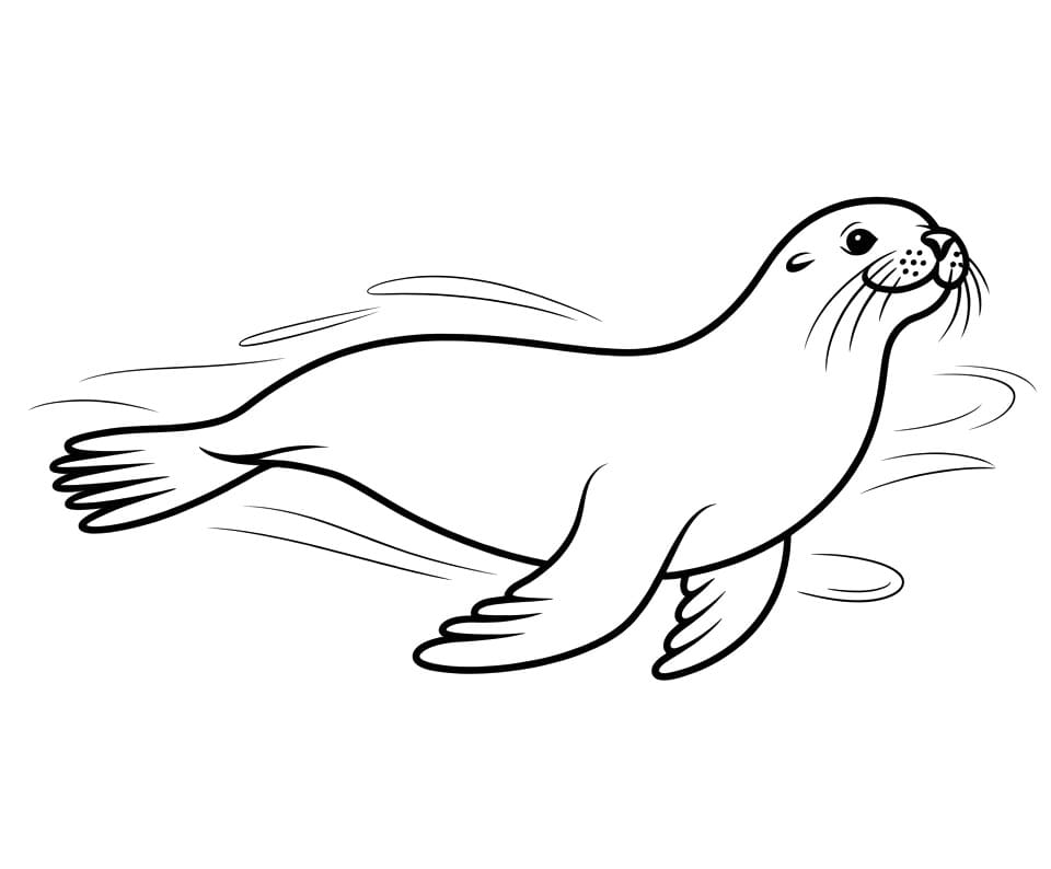 Fröhlicher Seelöwe