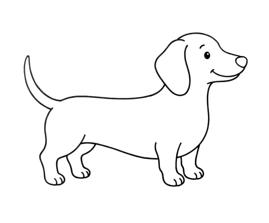 Schlichter Dackel