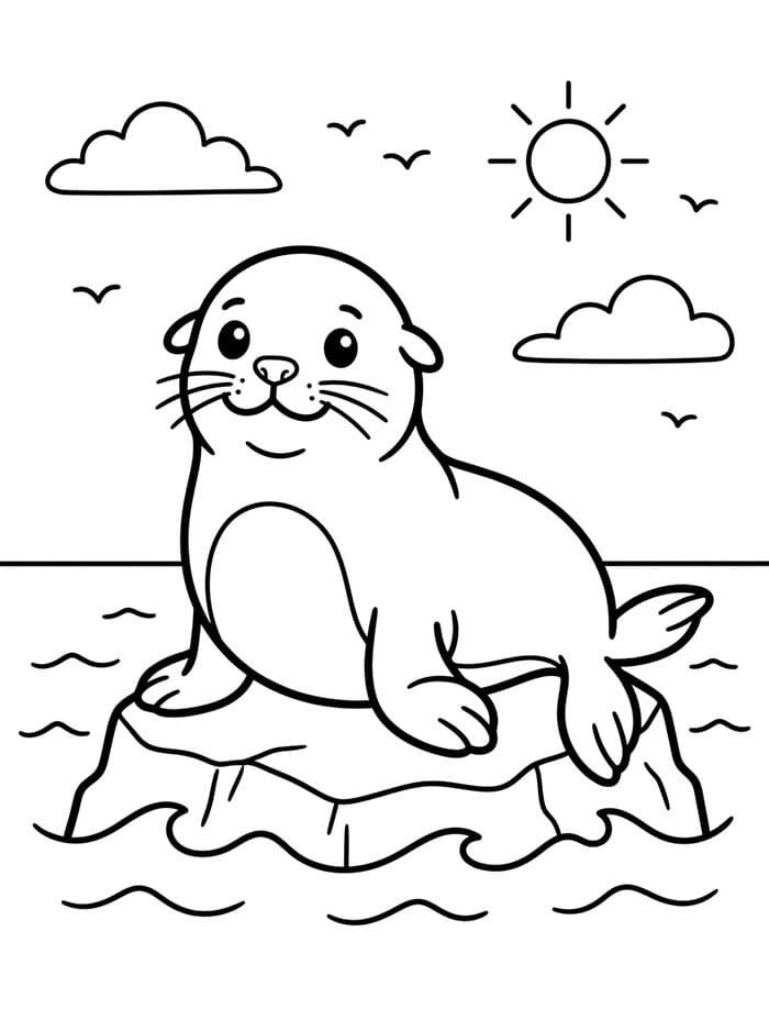 Seelöwe auf einem Felsen
