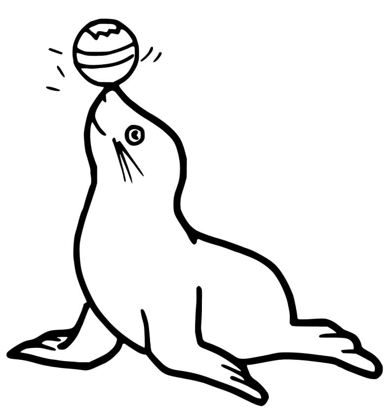 Seelöwe gratis