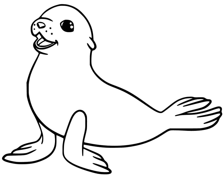 Seelöwe zum Ausdrucken