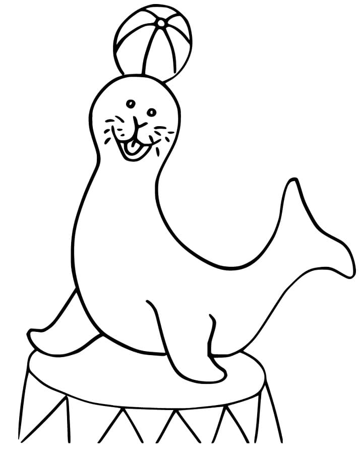 Seelöwe zum Drucken